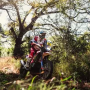 Campeonato Mundial de Rally Raid 2025